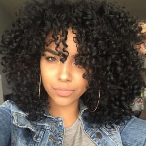 Full Curly Hair Afro Wig