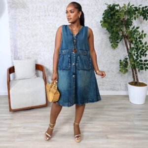 The Celine Button-Front Utility Denim Swing Dress
