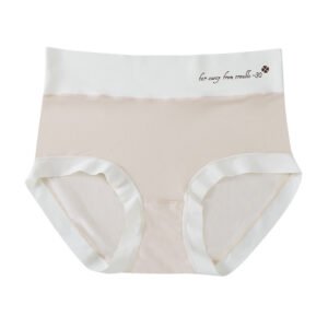 Thin Breathable Ice Silk Women Underwear