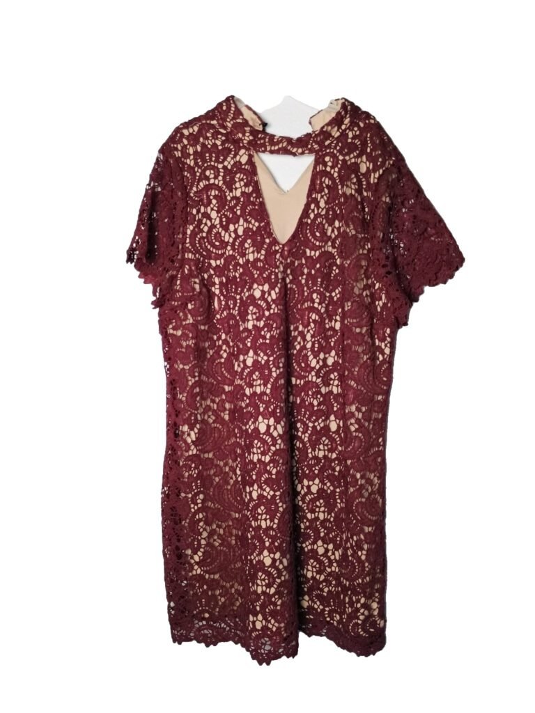 Blu Pepper Gigi Choker Mini Lace Burgundy Dress - 2XL
